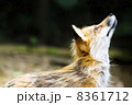 空を見上げ何を思う。 8361712
