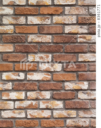 レンガの壁 レンガの壁 8361771