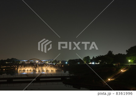 夜のひたち海浜公園 8361996