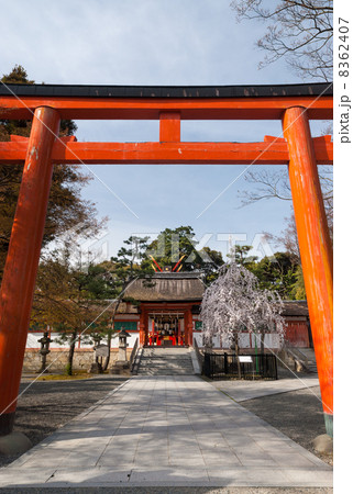 斎場所大元宮 斎場所大元宮 8362407