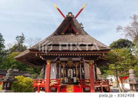 斎場所大元宮　本殿 8362408