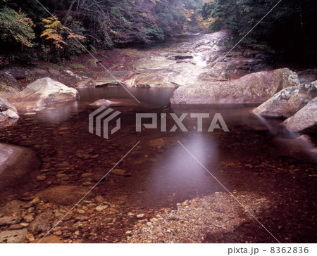 晩秋の滑床渓谷 8362836