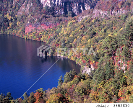 紅葉の十和田湖畔 紅葉の十和田湖畔 8362856