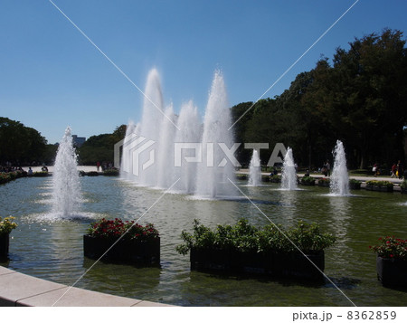 上野公園の噴水広場 上野公園の噴水広場 8362859