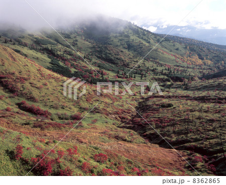 草津裏白根の秋 8362865