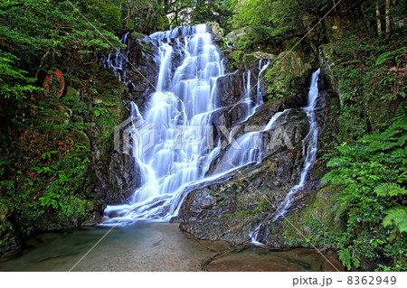 福岡・白糸の滝 8362949