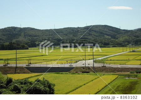 宮城県白井市旭町の田園風景 8363102