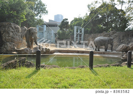 動物園 8363582