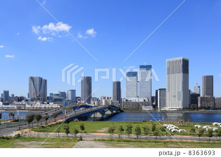 晴海大橋と高層マンション群 晴海大橋と高層マンション群 8363693