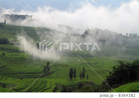 棚田に湧き上がる雲（中国 雲南省 元陽 全福庄村） 8364382