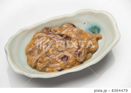 イカの塩辛 8364479