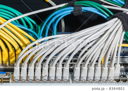 network cables connected to switch 8364801