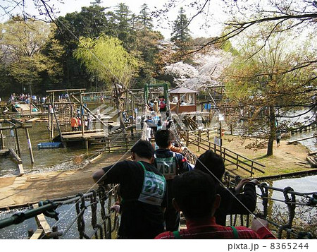 清水公園のフィールドアスレチックの写真素材 8365244 Pixta