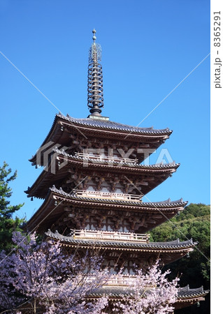 醍醐寺の五重塔 醍醐寺の五重塔 8365291