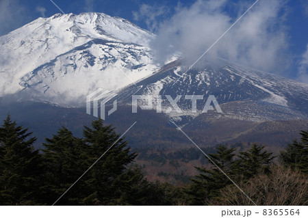 水ヶ塚公園からの富士山 8365564