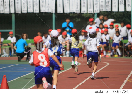 運動会 運動会 8365786