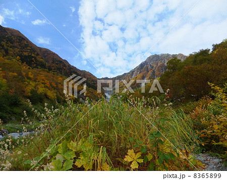 北岳　紅葉　バットレス 8365899