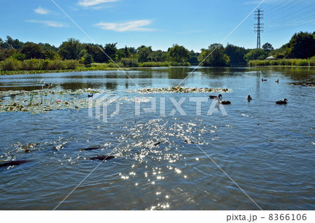 見沼田圃・見沼自然公園 見沼田圃・見沼自然公園 8366106