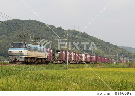 ＥＦ６６貨物列車 8366698