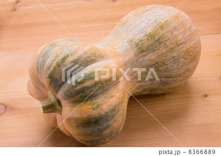 鹿ヶ谷かぼちゃ 8366889