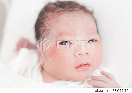 出産直後（日齢０） 8367255