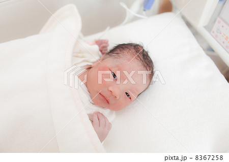 出産直後（日齢０） 8367258