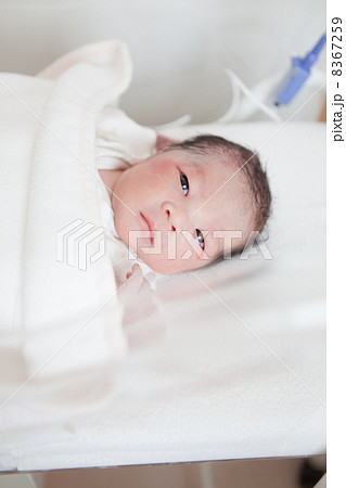 出産直後（日齢０） 8367259