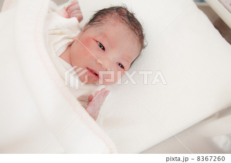 出産直後（日齢０） 8367260