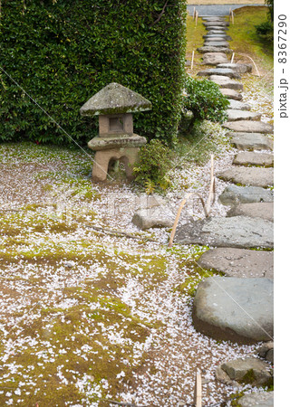 桂離宮 笑意軒 切支丹灯籠 桂離宮 笑意軒 切支丹灯籠 8367290