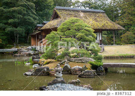 桂離宮　池泉回遊式庭園 8367312