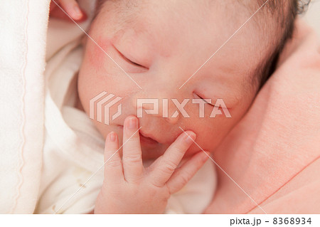 出産当日（日齢0） 8368934