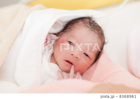 出産直後（日齢０） 8368961