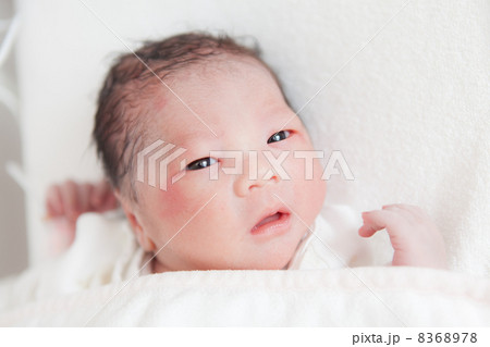 出産直後（日齢０） 8368978