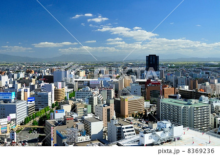 新潟市街(メディアシップより) 新潟市街(メディアシップより) 8369236