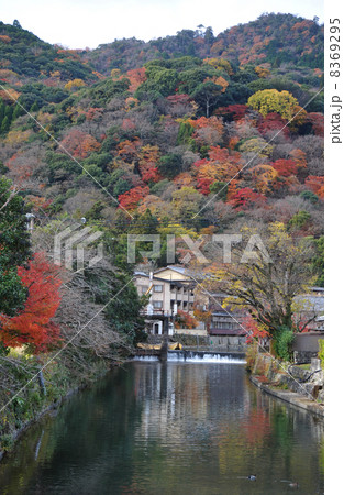 京都 嵐山の紅葉 京都 嵐山の紅葉 8369295