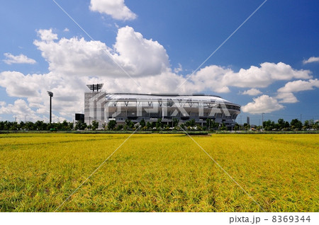 新潟市の田園 新潟市の田園 8369344