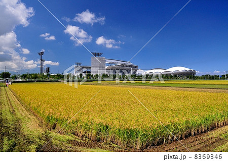 新潟市の田園 8369346