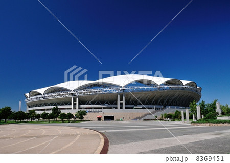 ビッグスワン 8369451