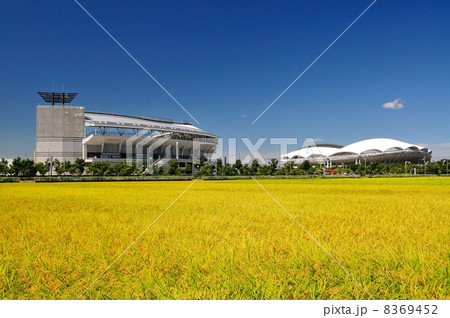 新潟市の田園 新潟市の田園 8369452