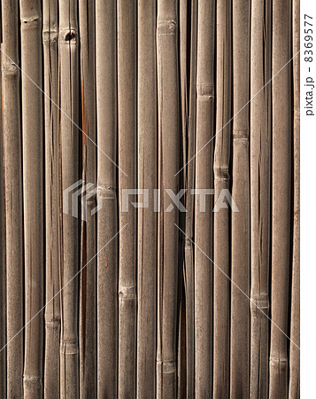 竹塀 8369577