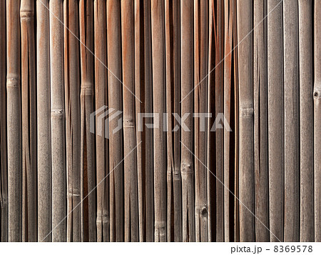 竹塀 8369578