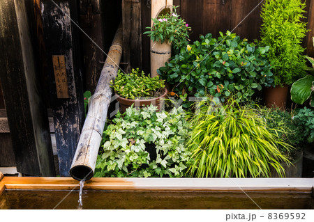 木曽路の軒先 8369592