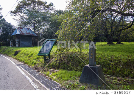 多賀城跡・六月坂地区 8369617