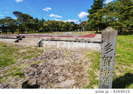 多賀城政庁跡 8369619