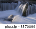 最後のともしび 8370099