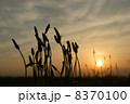 居眠り心地 8370100