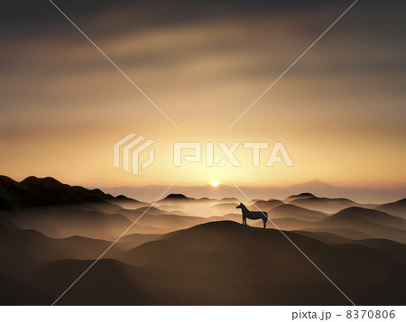 日の出と馬 8370806