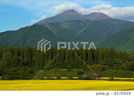 秋　色づき始めた秋田駒ヶ岳と里山 8370939