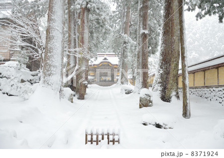 雪景色の永平寺 勅使門 雪景色の永平寺 勅使門 8371924