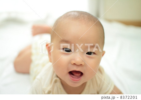 はいはいする赤ちゃん はいはいする赤ちゃん 8372201